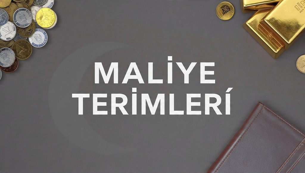 En Çok Kullanılan Maliye Terimleri Nelerdir?