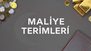 En Çok Kullanılan Maliye Terimleri Nelerdir?
